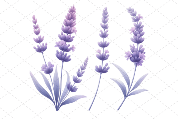 Download Lavender Bliss Watercolor Clipart - Premium Resources