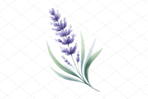 Download Lavender Bliss Watercolor Clipart - Premium Bundle