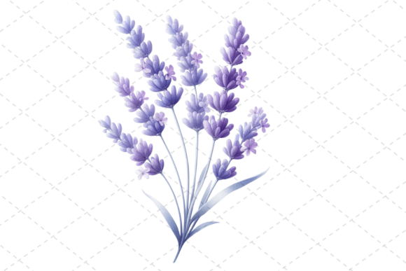 Download Lavender Bliss Watercolor Clipart - Premium Bundle