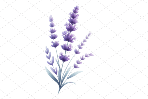 Download Lavender Bliss Watercolor Clipart - Premium Bundle