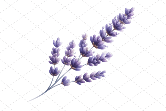 Download Lavender Bliss Watercolor Clipart - Premium Resources
